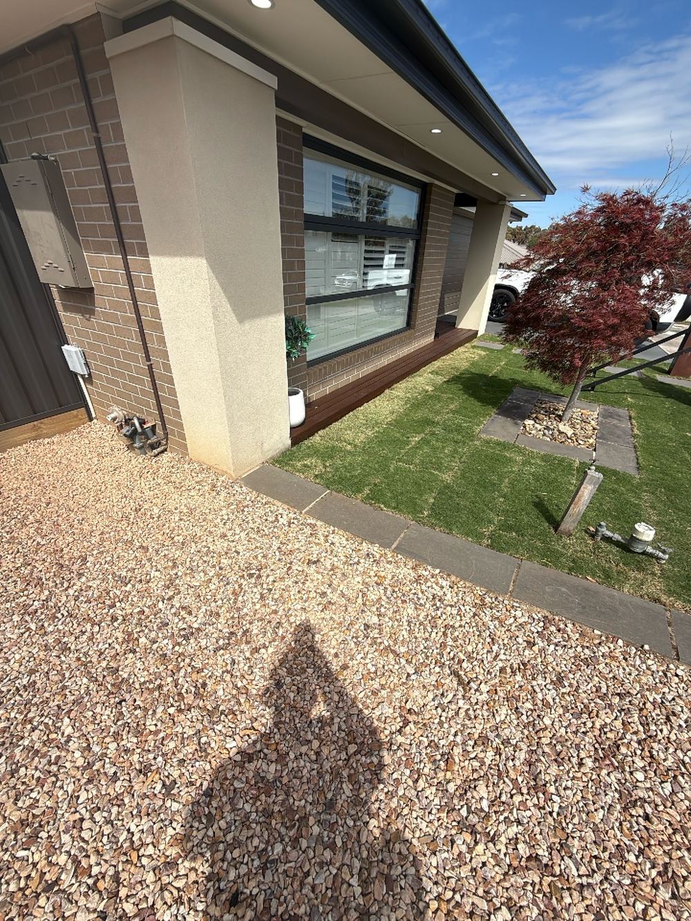 Water around the house and termite risk